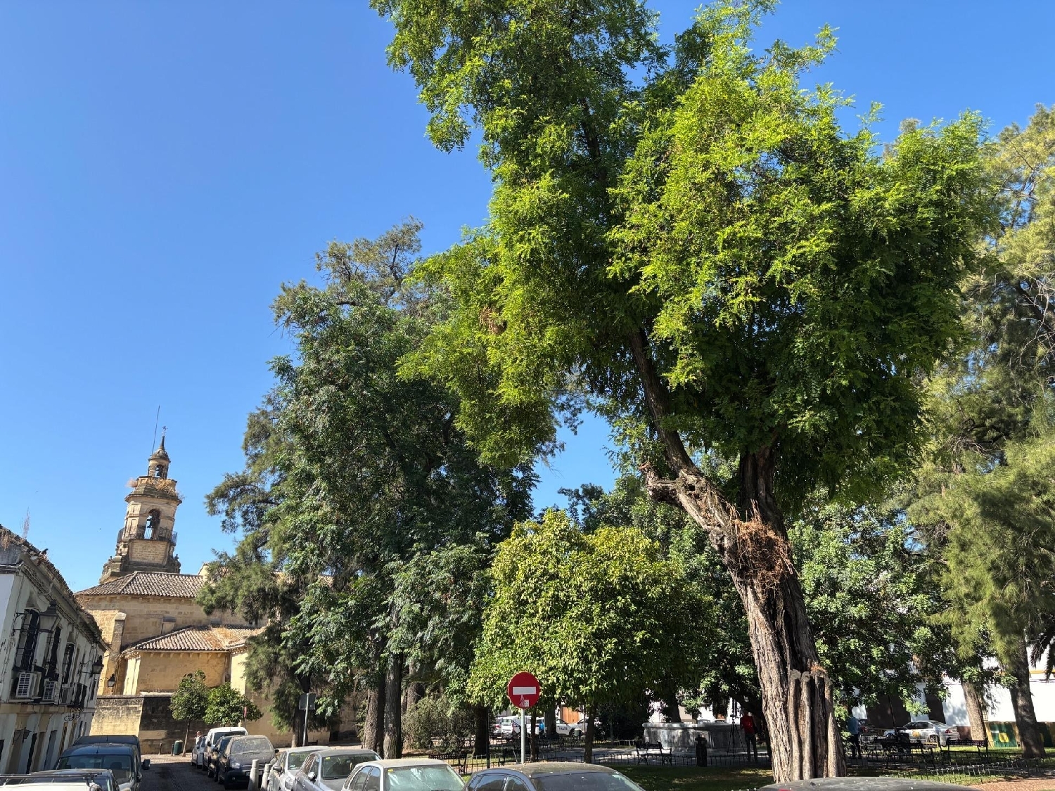  for sale house Villafranca De Córdoba Alto Guadalquivir 5