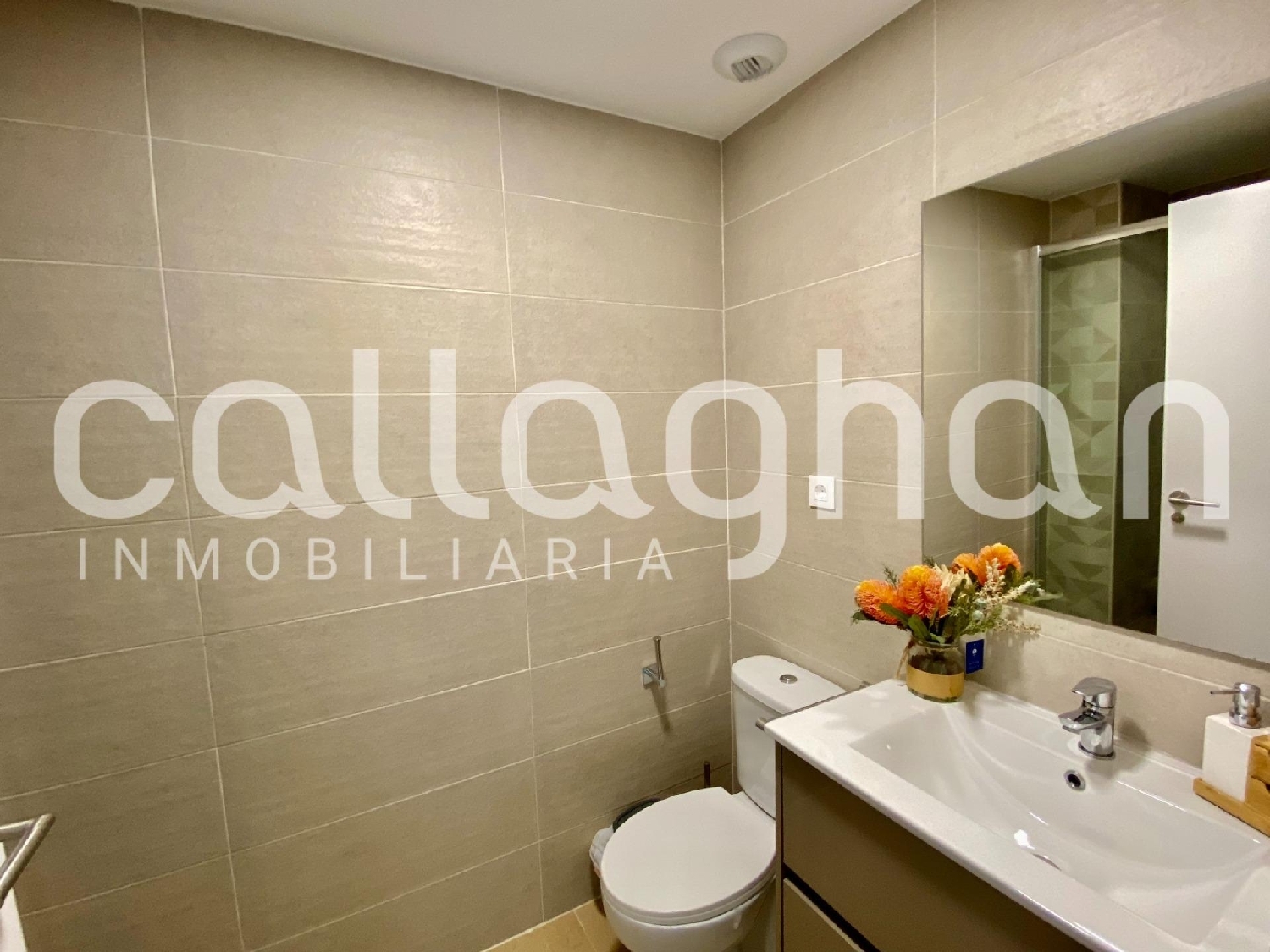 kaufen Penthouse Cabanes Plana Alta 8