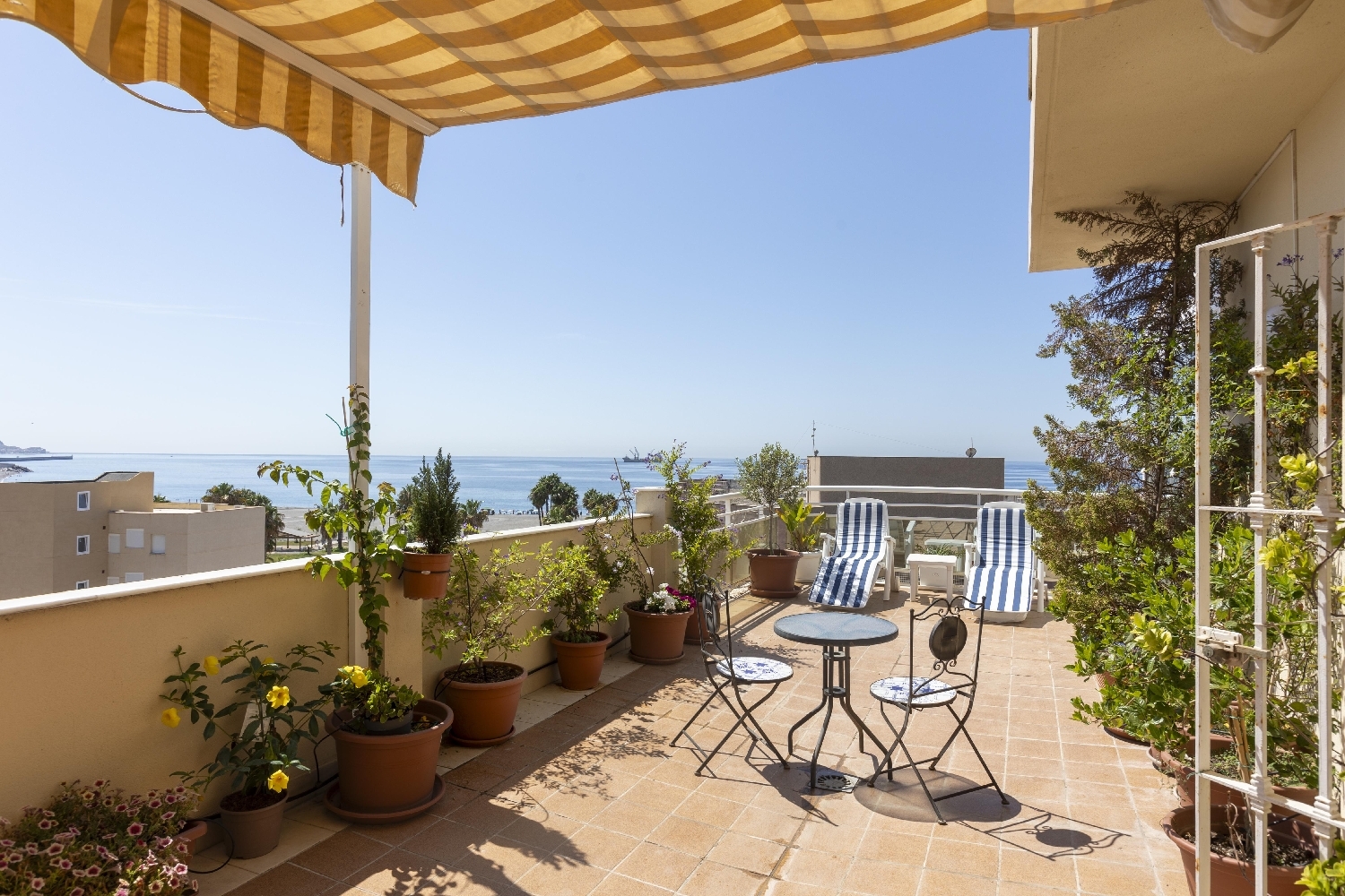  en venta ático Motril Costa Tropical 4