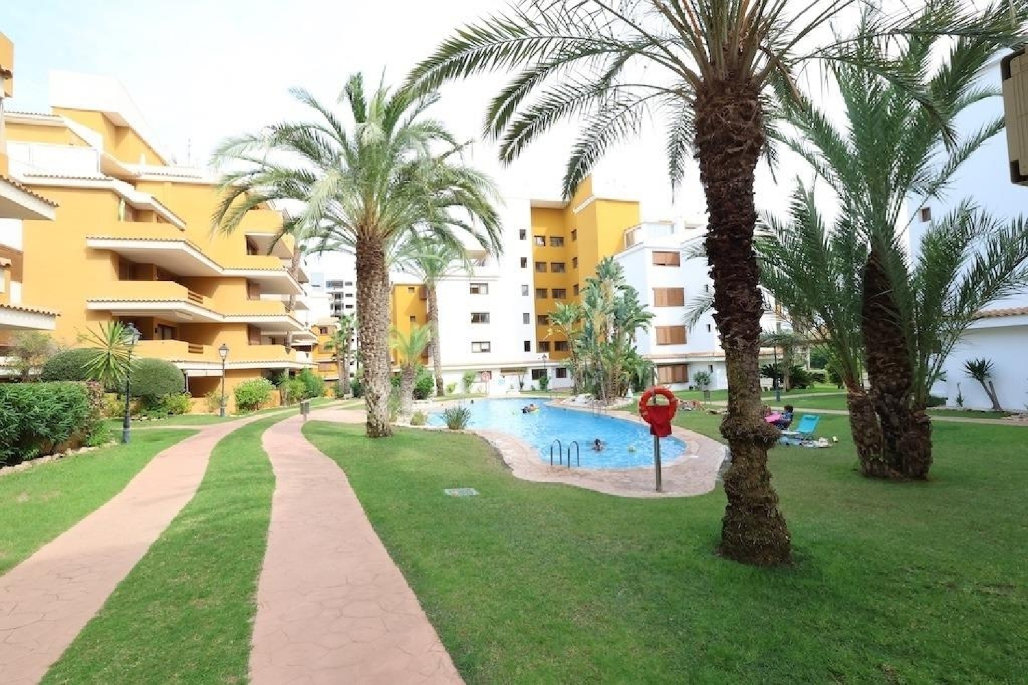  te koop penthouse Torrevieja Baix Segura 1