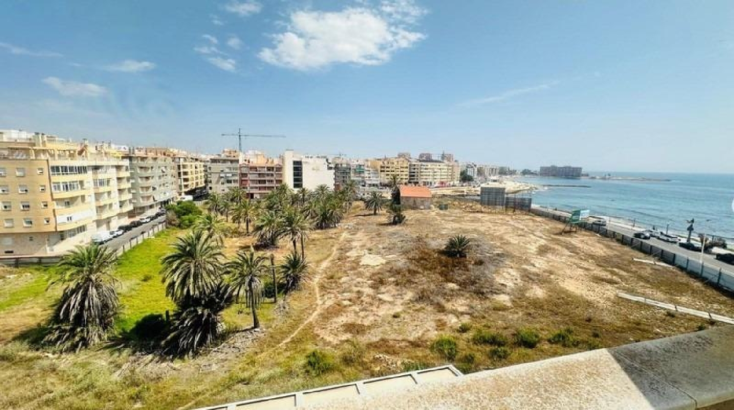  kaufen Penthouse Torrevieja Baix Segura 8