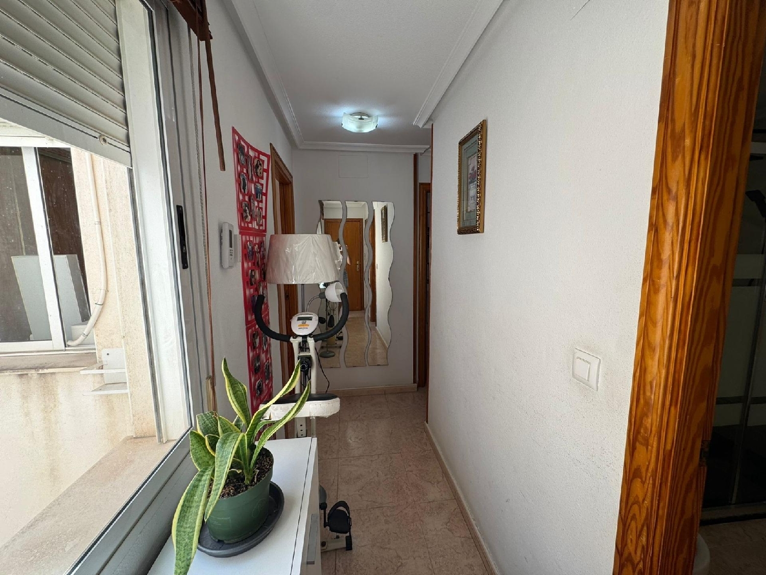  kaufen Penthouse Torrevieja Baix Segura 3