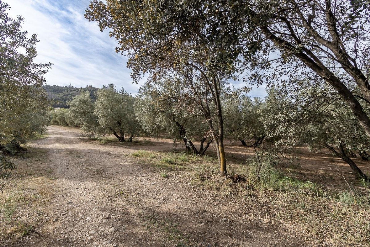  for sale plot Albolote Vega De Granada 4