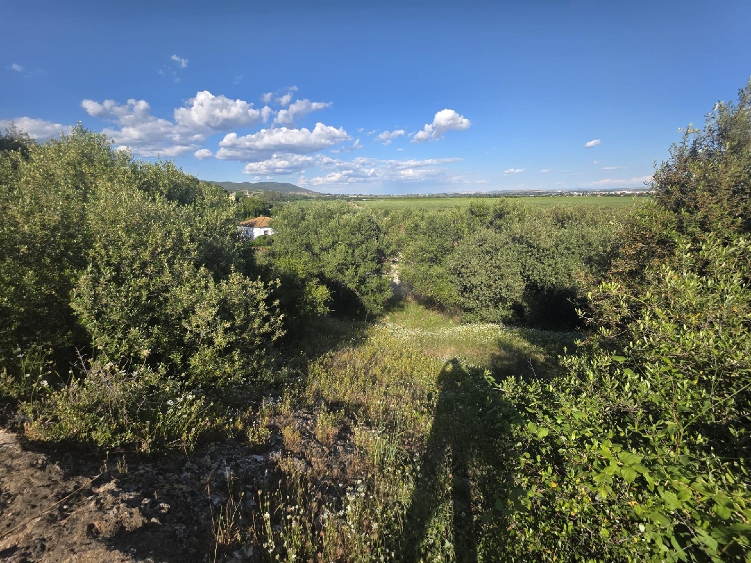  te koop perceel Almodóvar Del Río Valle Medio Del Guadalquivir 7