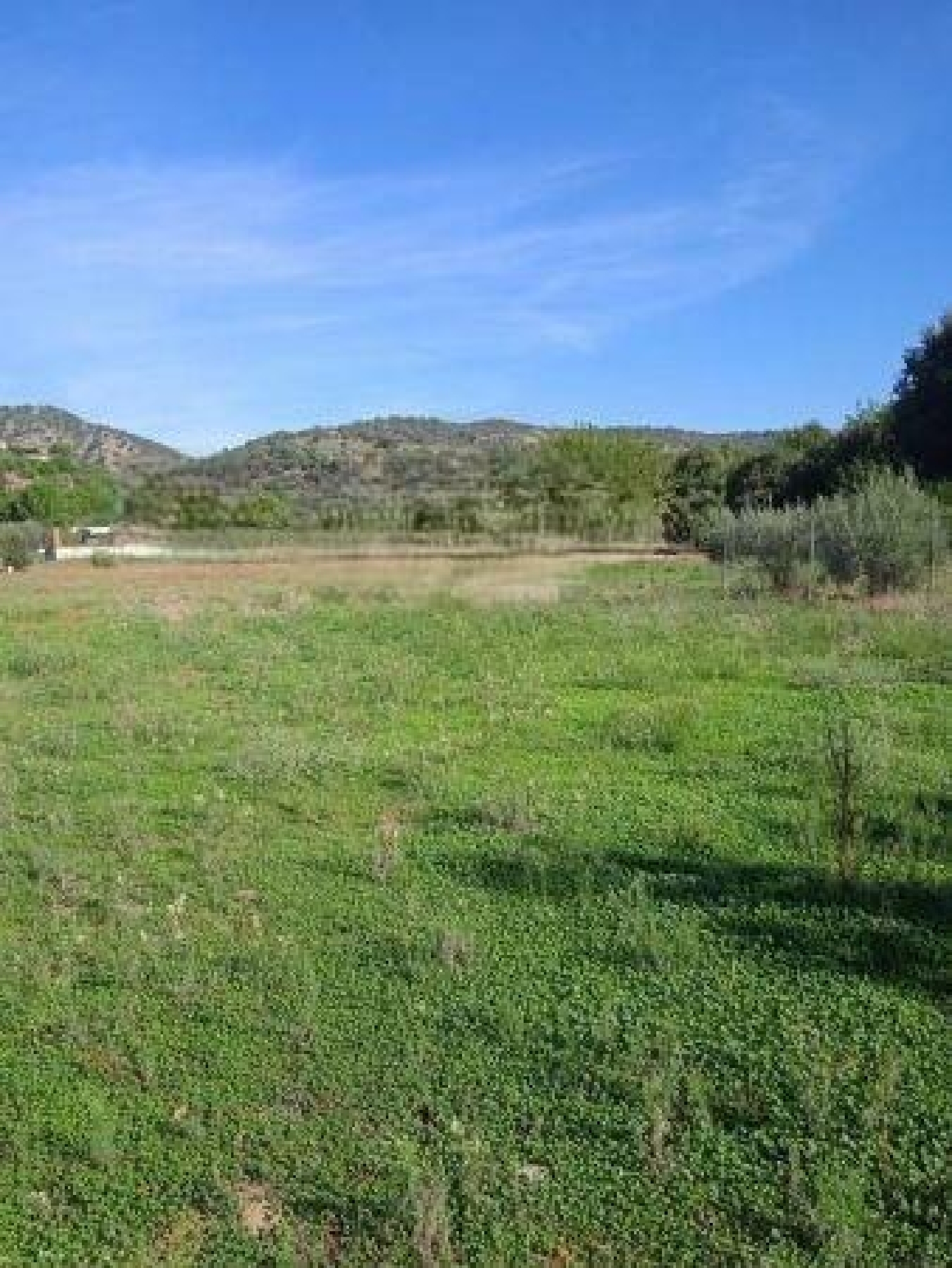 for sale plot Almodóvar Del Río Valle Medio Del Guadalquivir 2