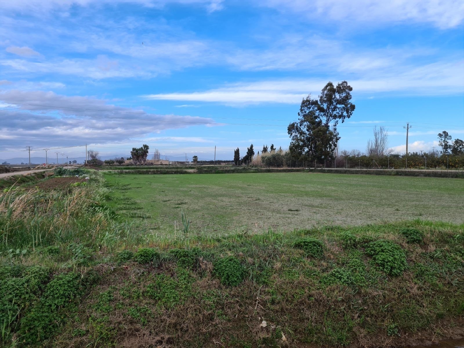  for sale plot Amposta Montsià 3