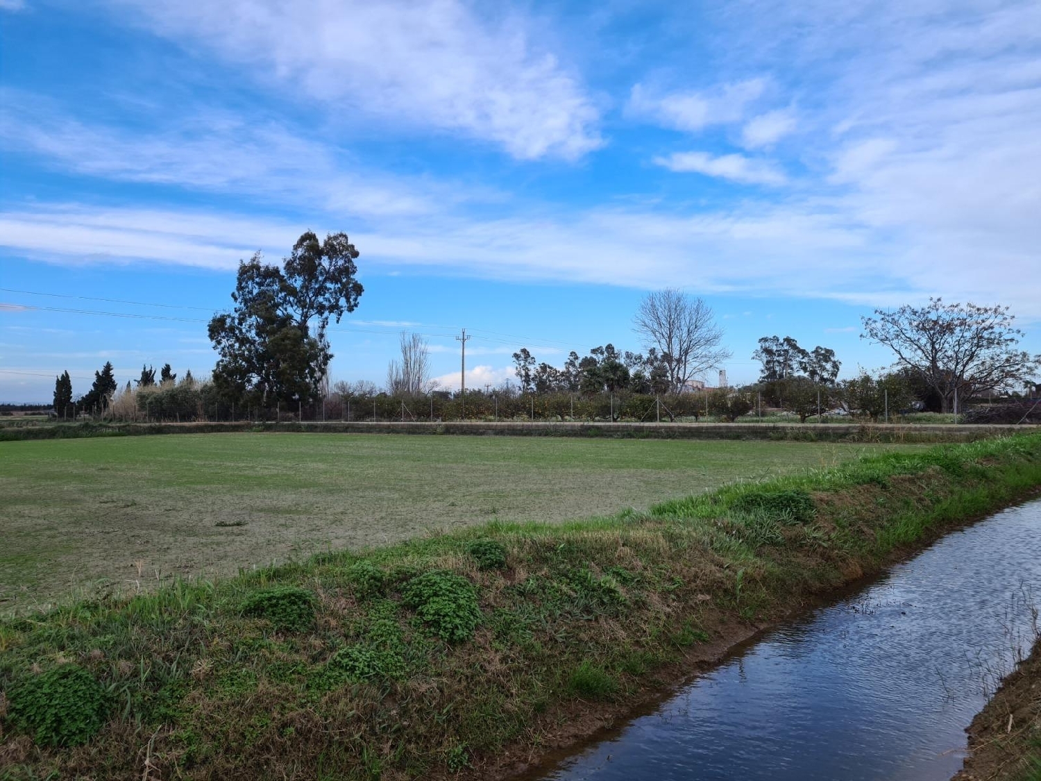  for sale plot Amposta Montsià 1