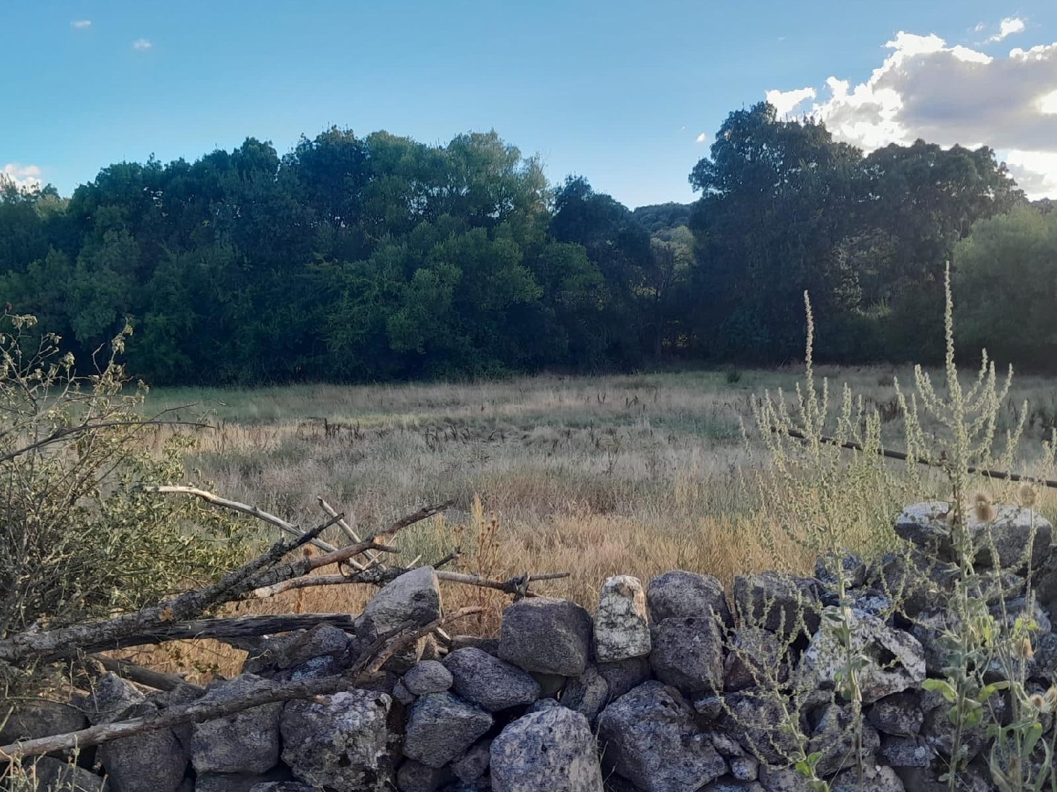  for sale plot Aquelavila Arzúa 4