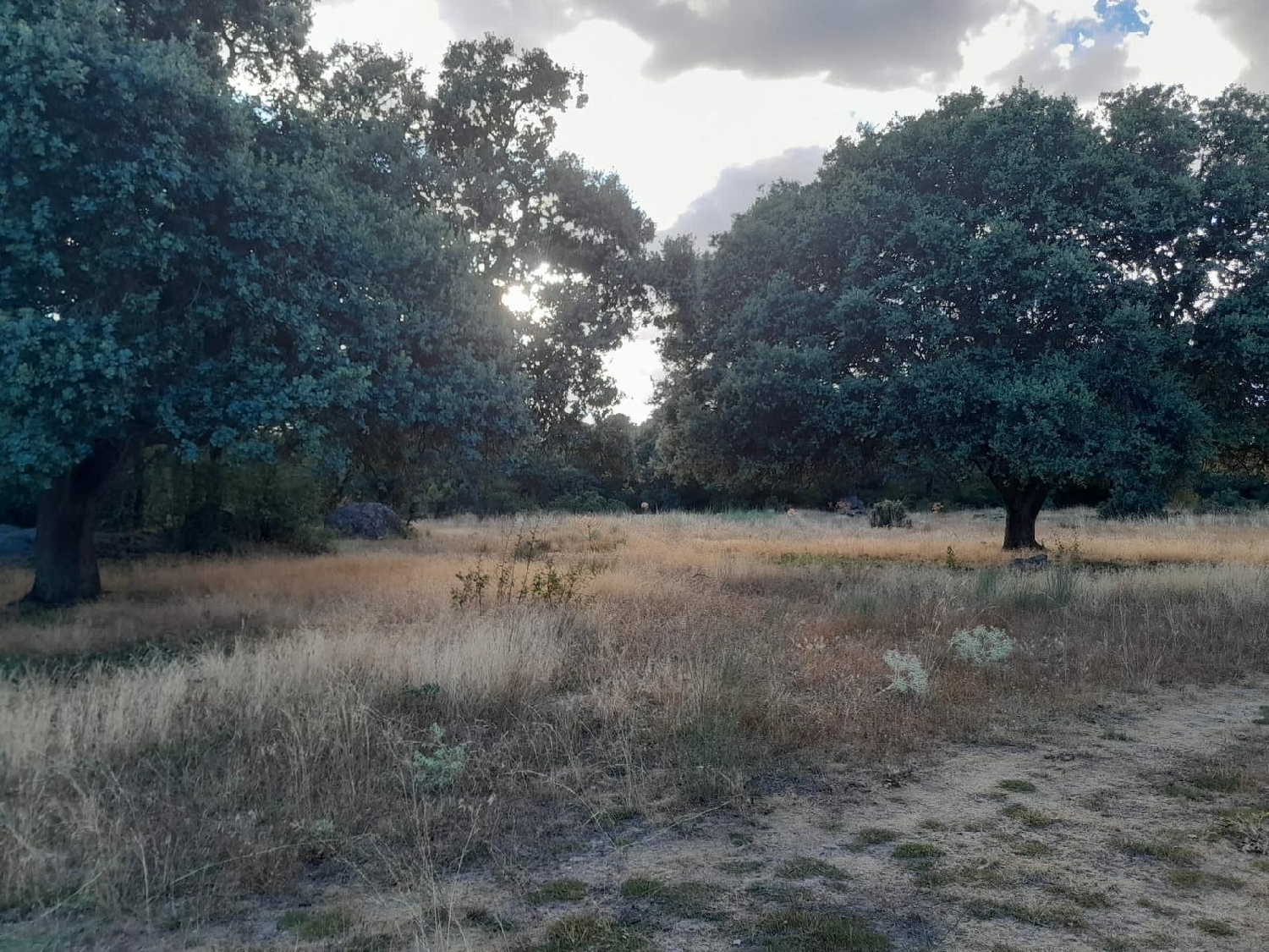  for sale plot Aquelavila Arzúa 7