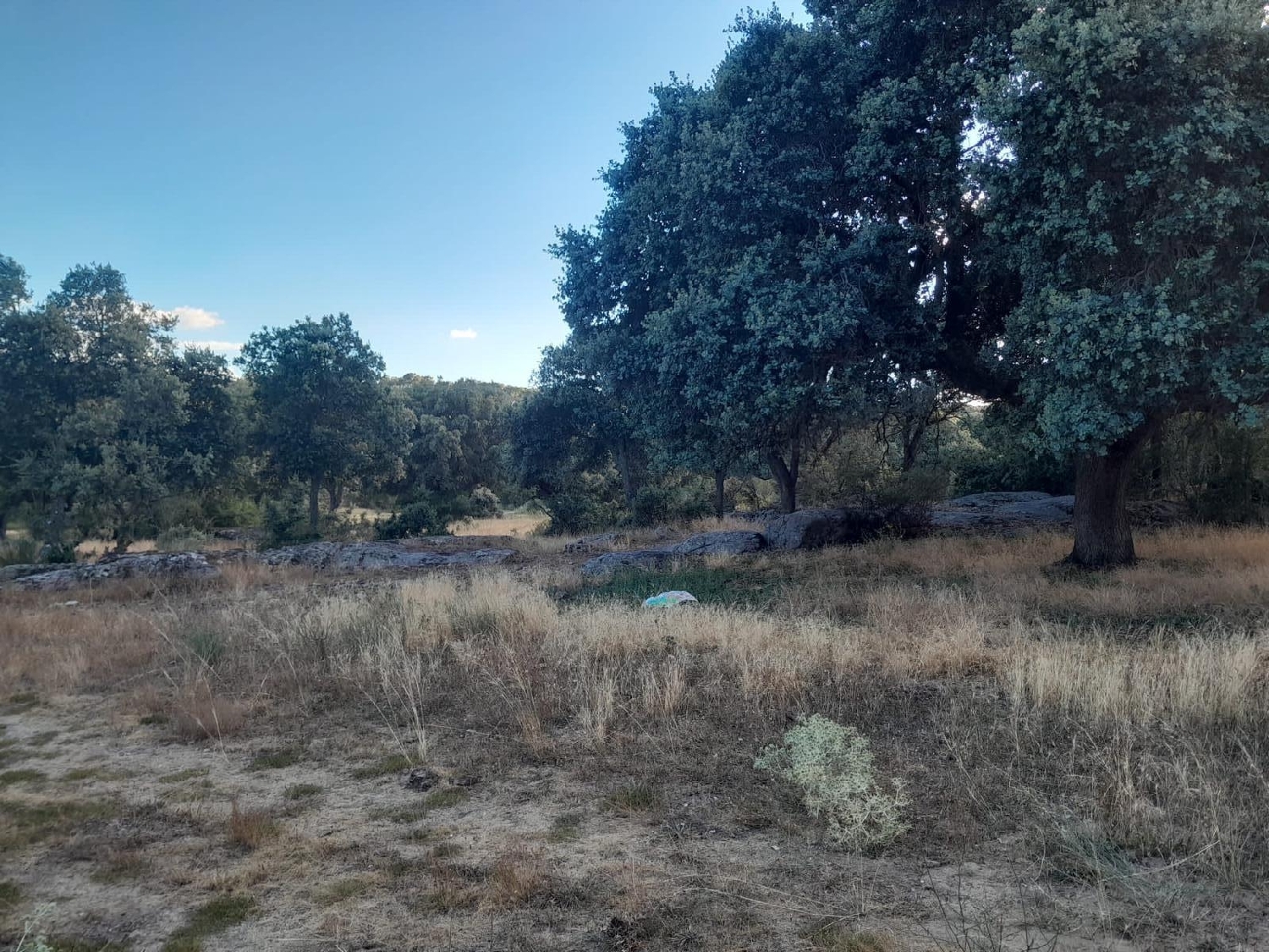  for sale plot Aquelavila Arzúa 5