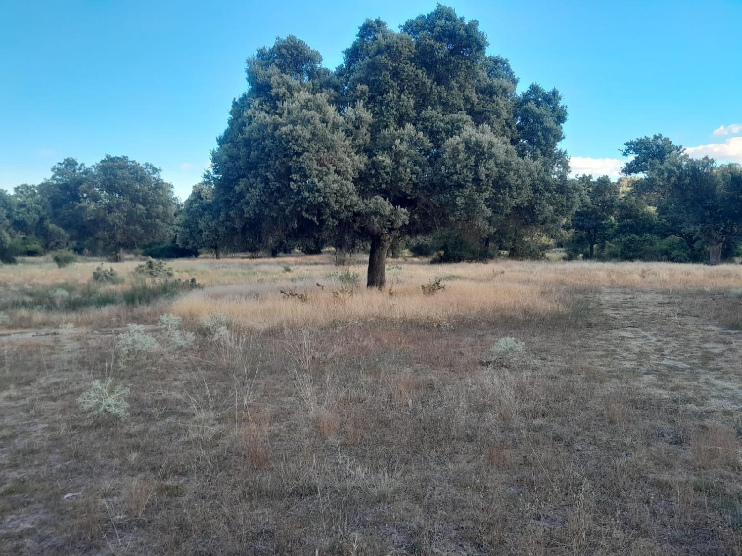  for sale plot Aquelavila Arzúa 1