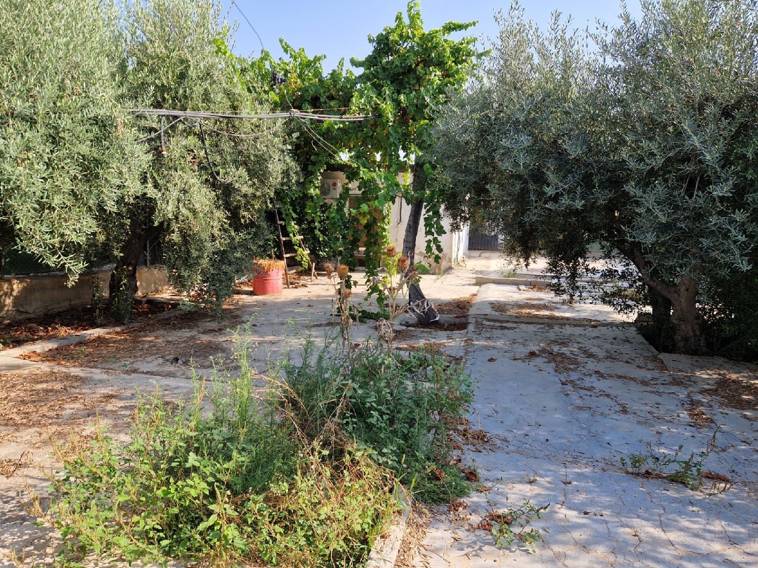  till salu tomt Archena Valle De Ricote 2