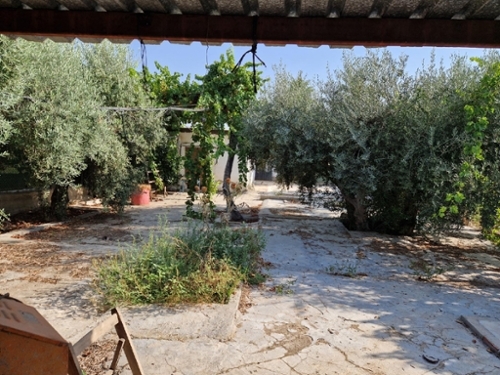 Archena Valle De Ricote tomt foto 6290118