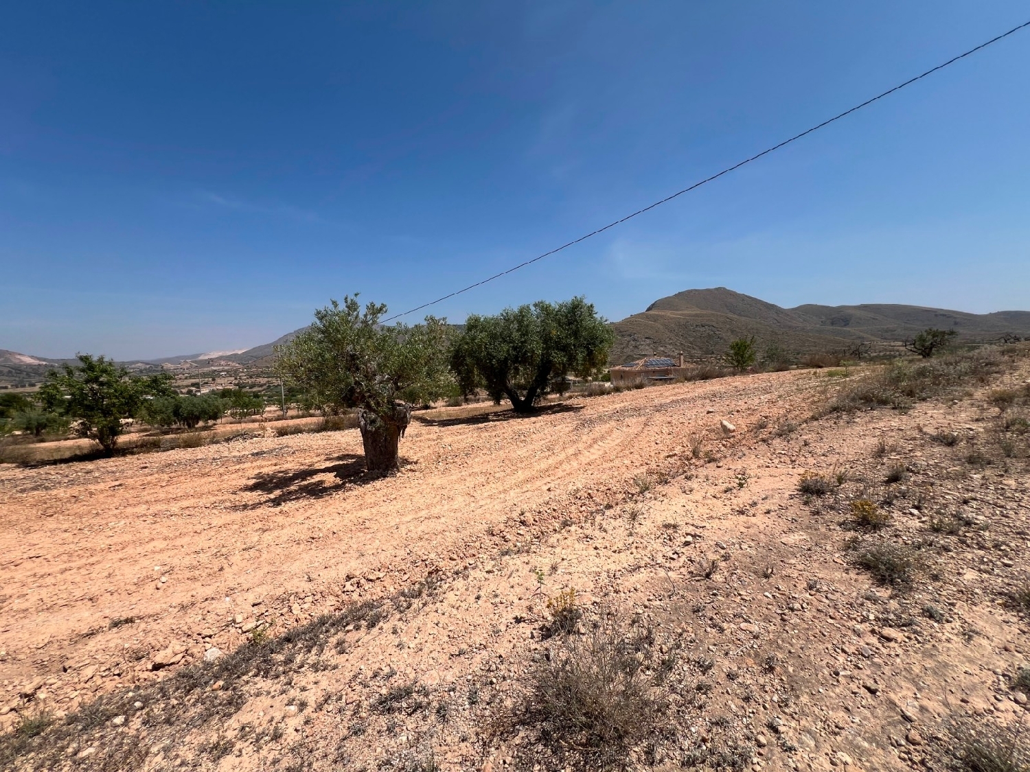 te koop perceel Barbarroja Baix Segura 2
