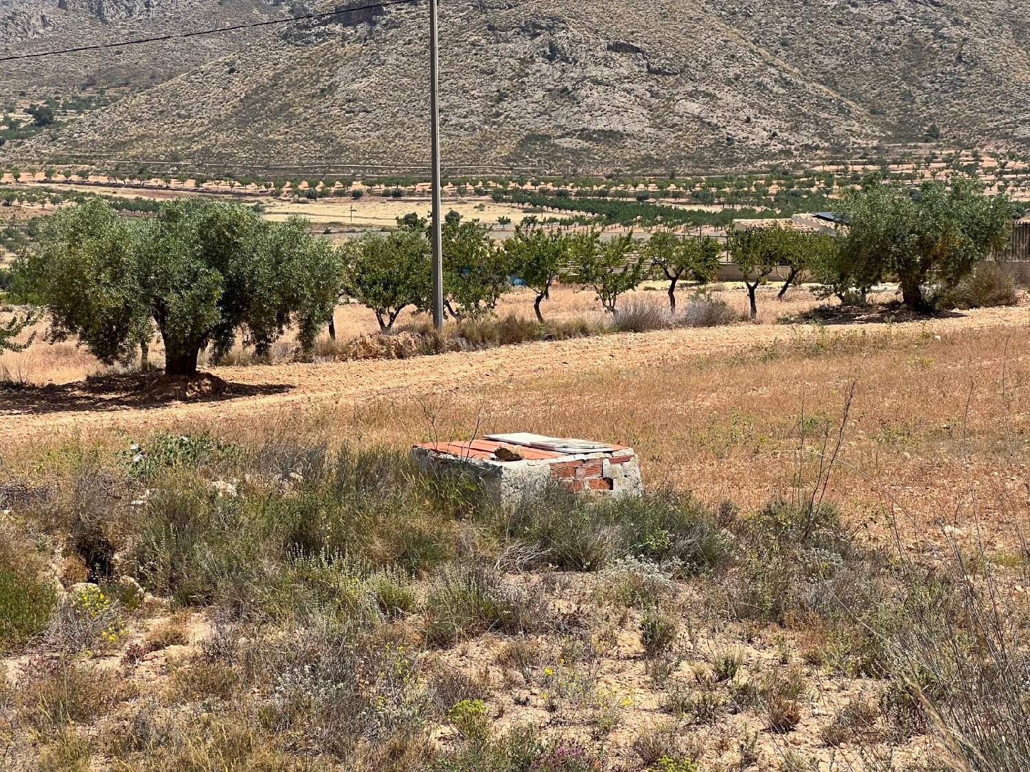 te koop perceel Barbarroja Baix Segura 3
