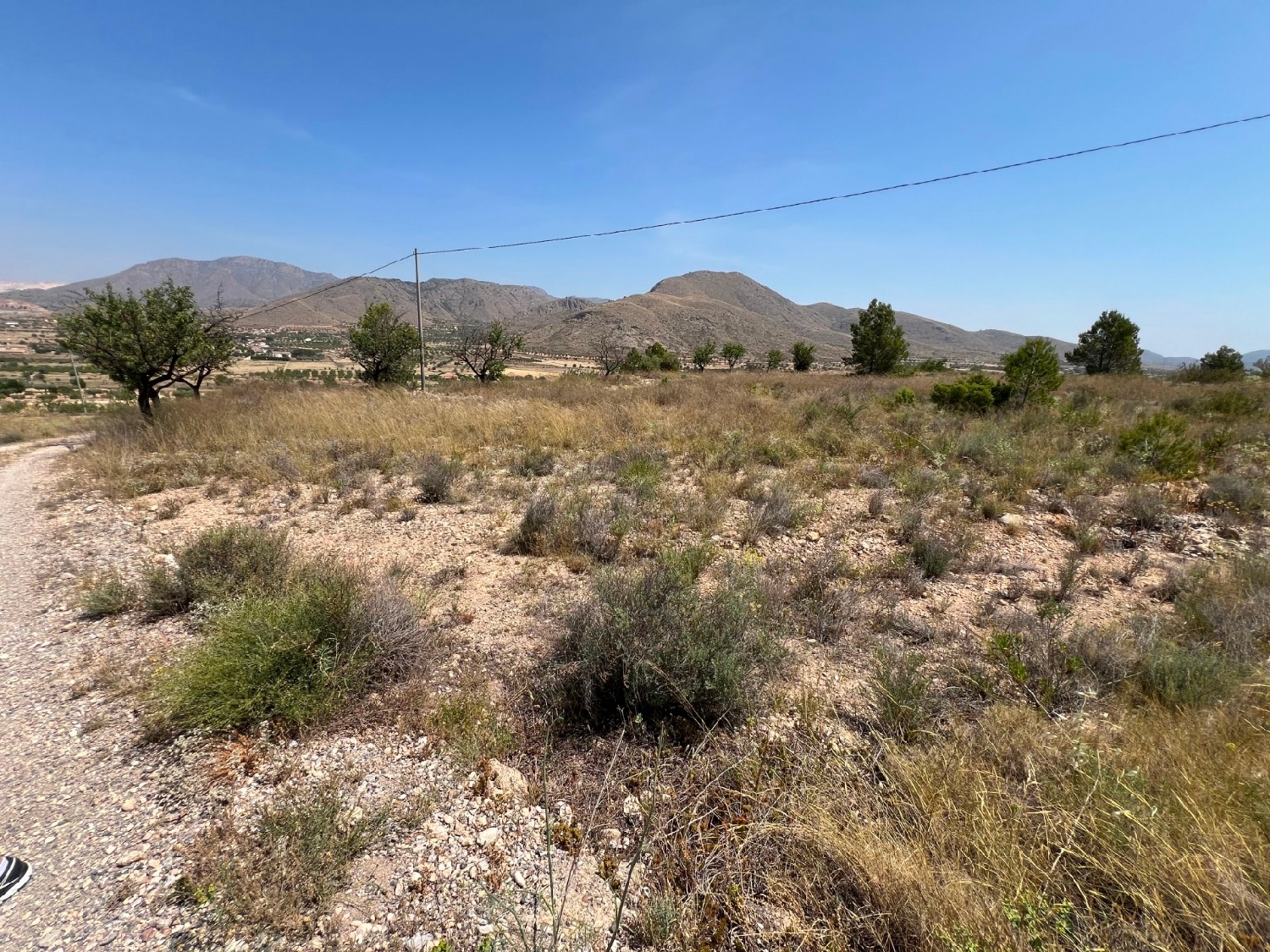  en venta terreno Barbarroja Baix Segura 9