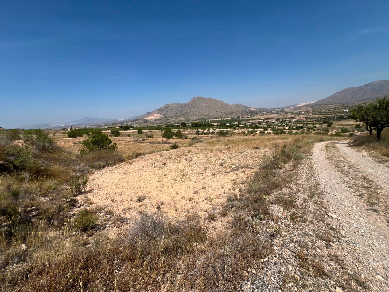 en venta terreno Barbarroja Baix Segura 7
