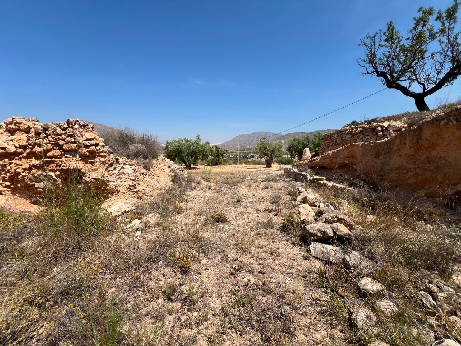  en venta terreno Barbarroja Baix Segura 21