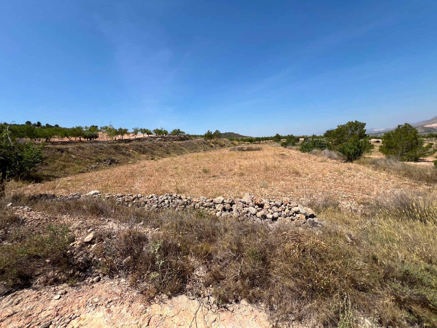  en venta terreno Barbarroja Baix Segura 5