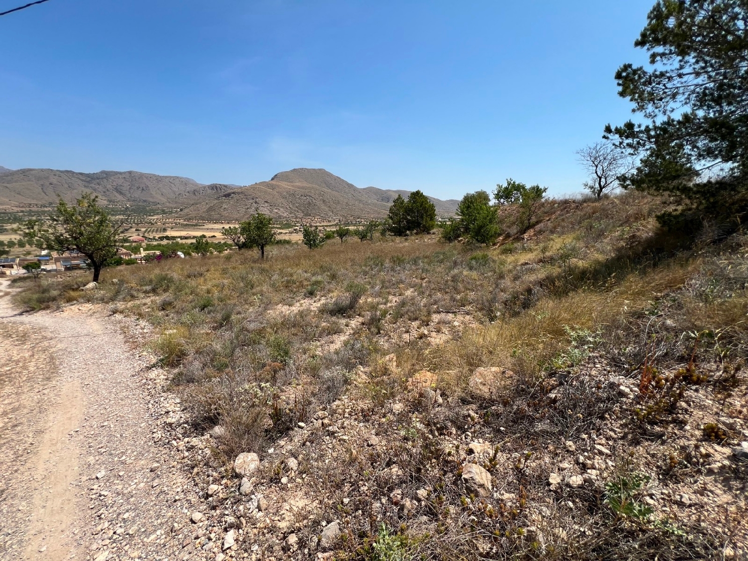  en venta terreno Barbarroja Baix Segura 10