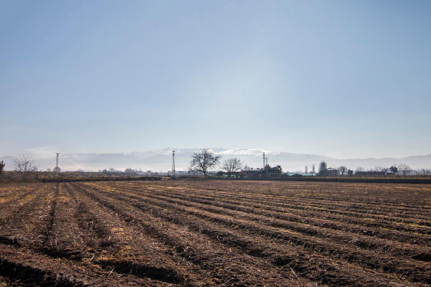  for sale plot Barrio De Granada Alacantí 6