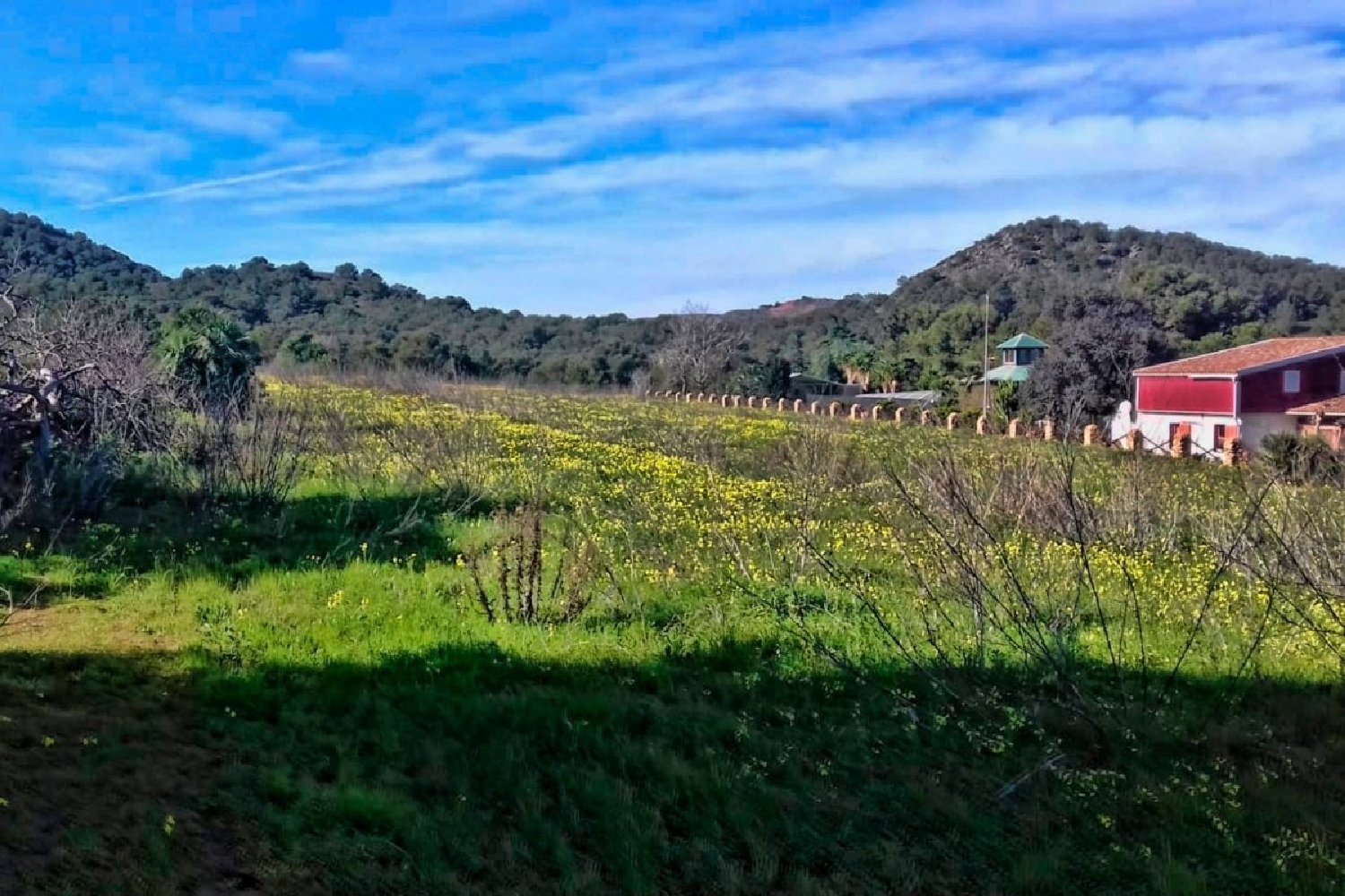  for sale plot Cartagena Campo De Cartagena 4