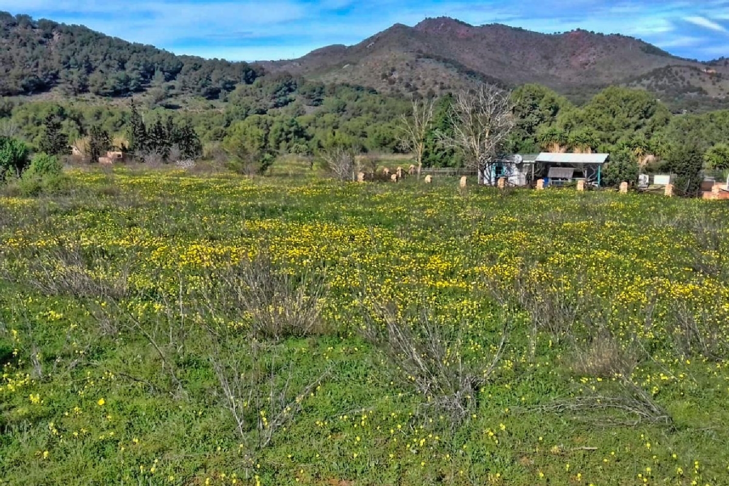  for sale plot Cartagena Campo De Cartagena 5