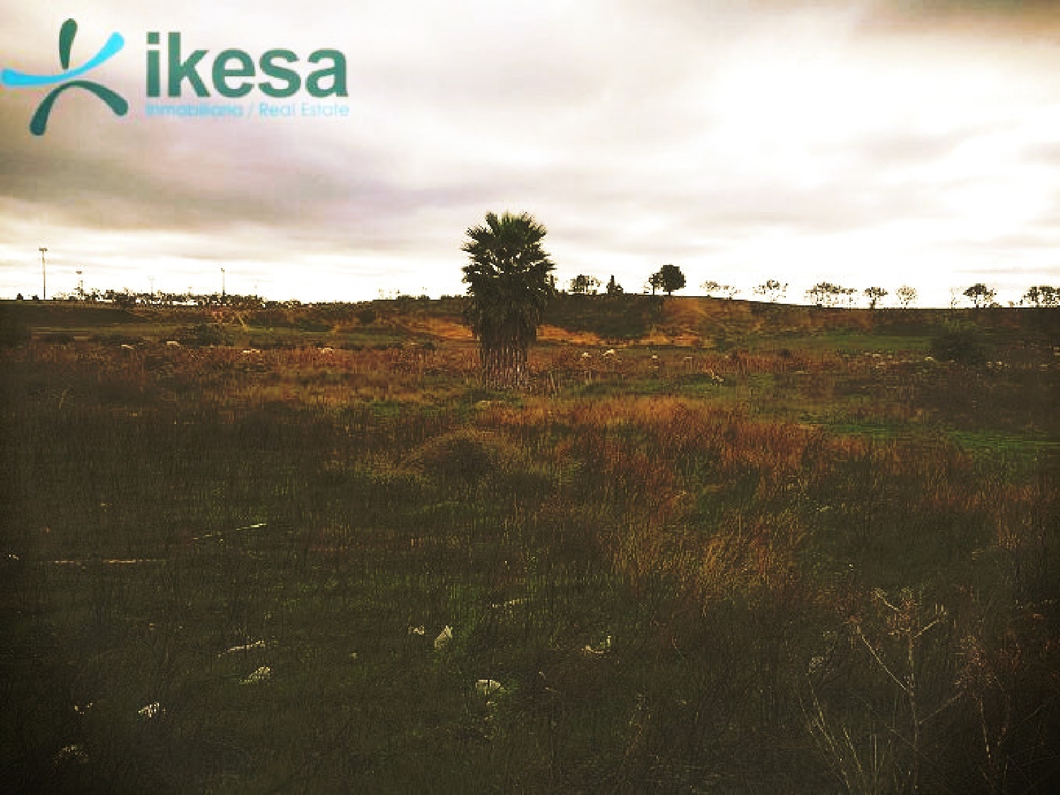  for sale plot Cartaya Costa Occidental 4