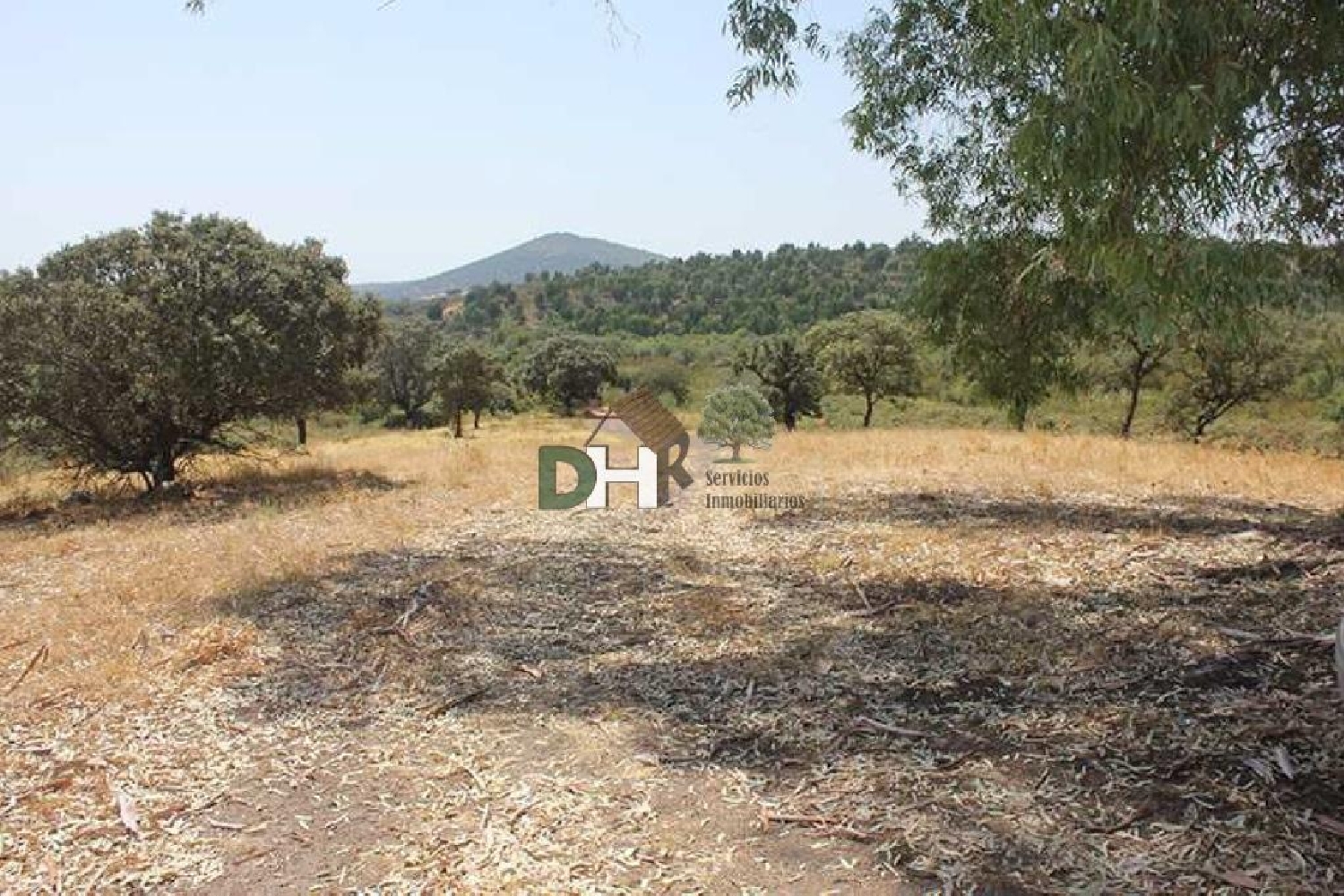 for sale plot Casar De Cáceres Tajo-Salor 3