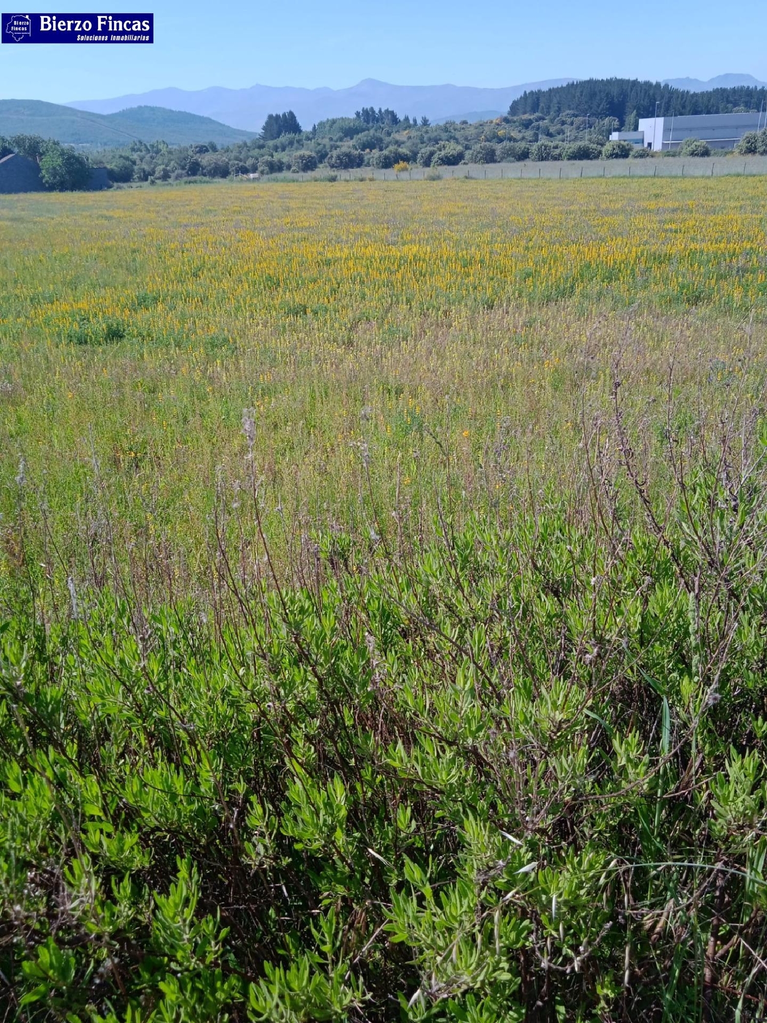  kaufen Grundstück Cubillos Del Sil Bierzo (El) 1