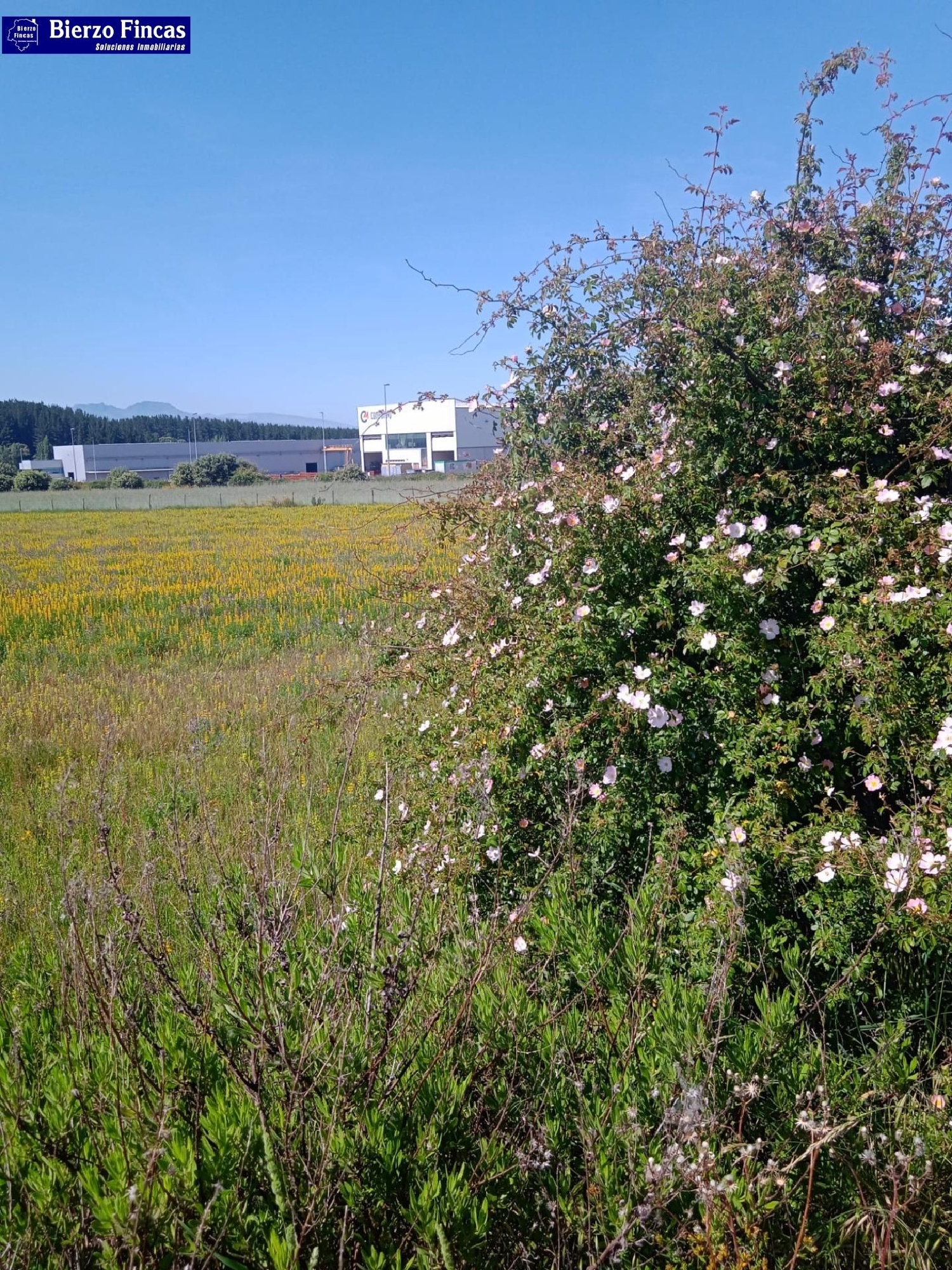kaufen Grundstück Cubillos Del Sil Bierzo (El) 2