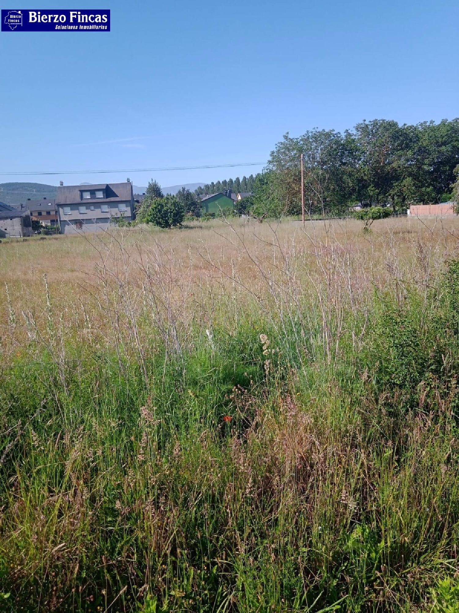 kaufen Grundstück Cubillos Del Sil Bierzo (El) 2