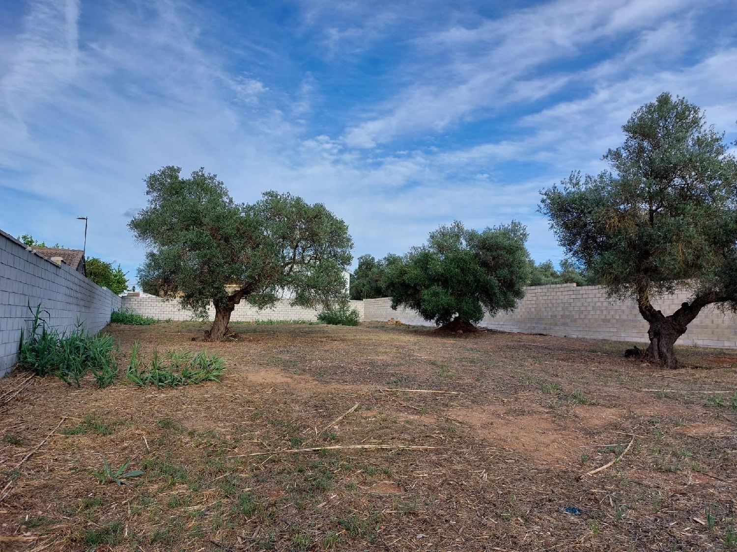  en venta terreno Dos Hermanas Málaga-Costa Del Sol 1