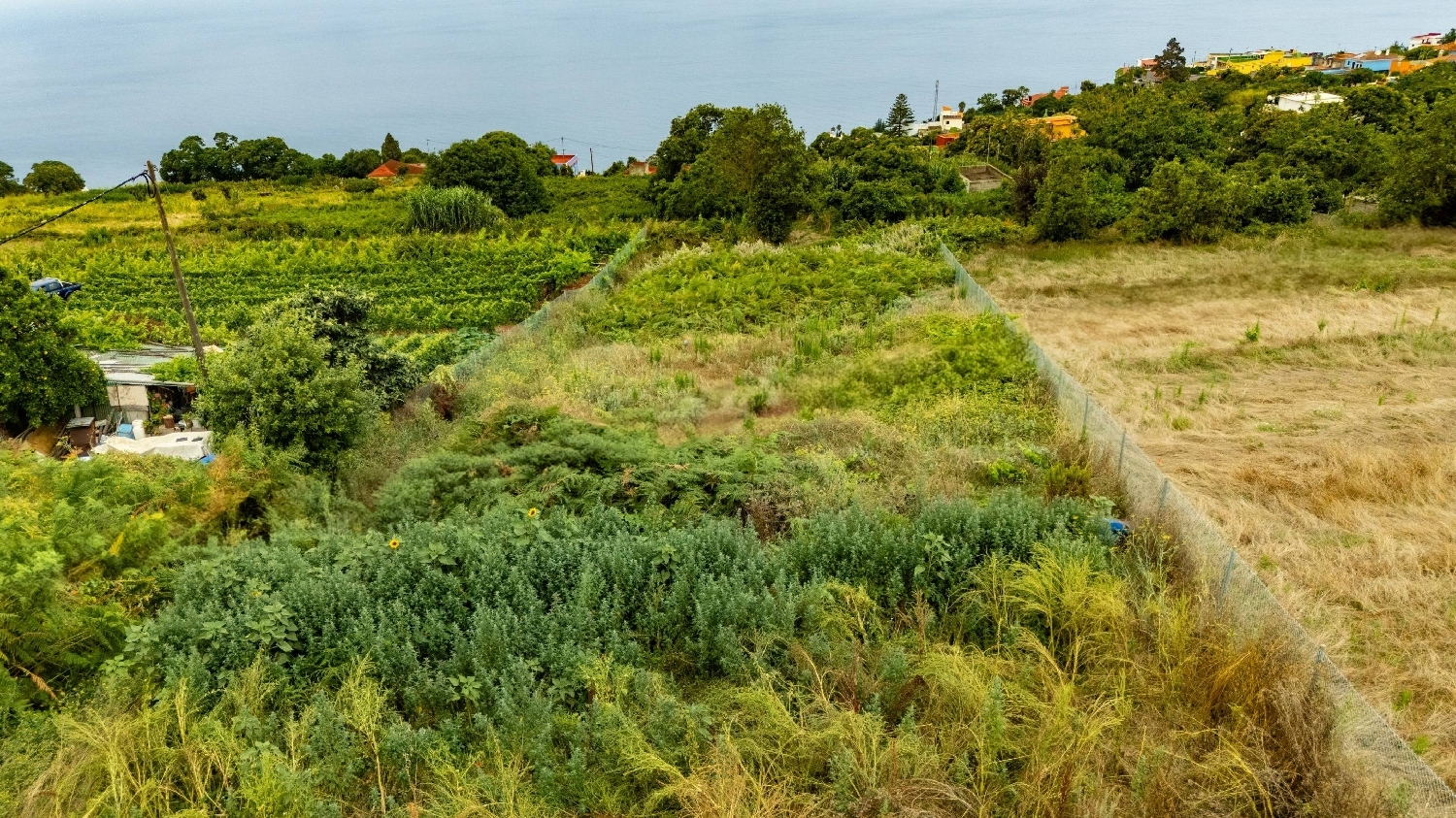  for sale plot El Sauzal Zona Norte 7