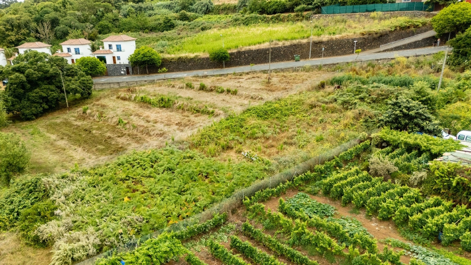  for sale plot El Sauzal Zona Norte 1