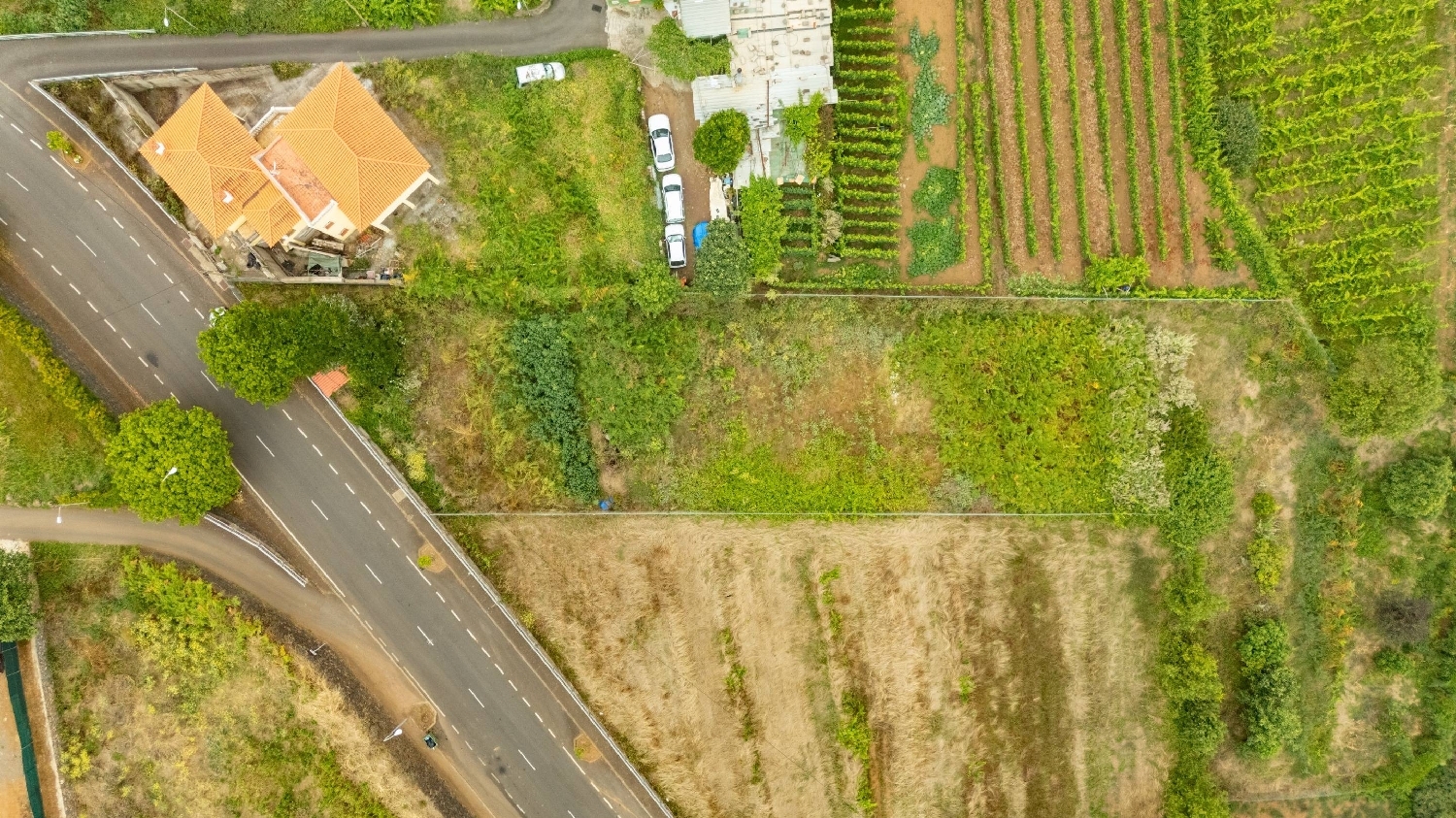  for sale plot El Sauzal Zona Norte 5