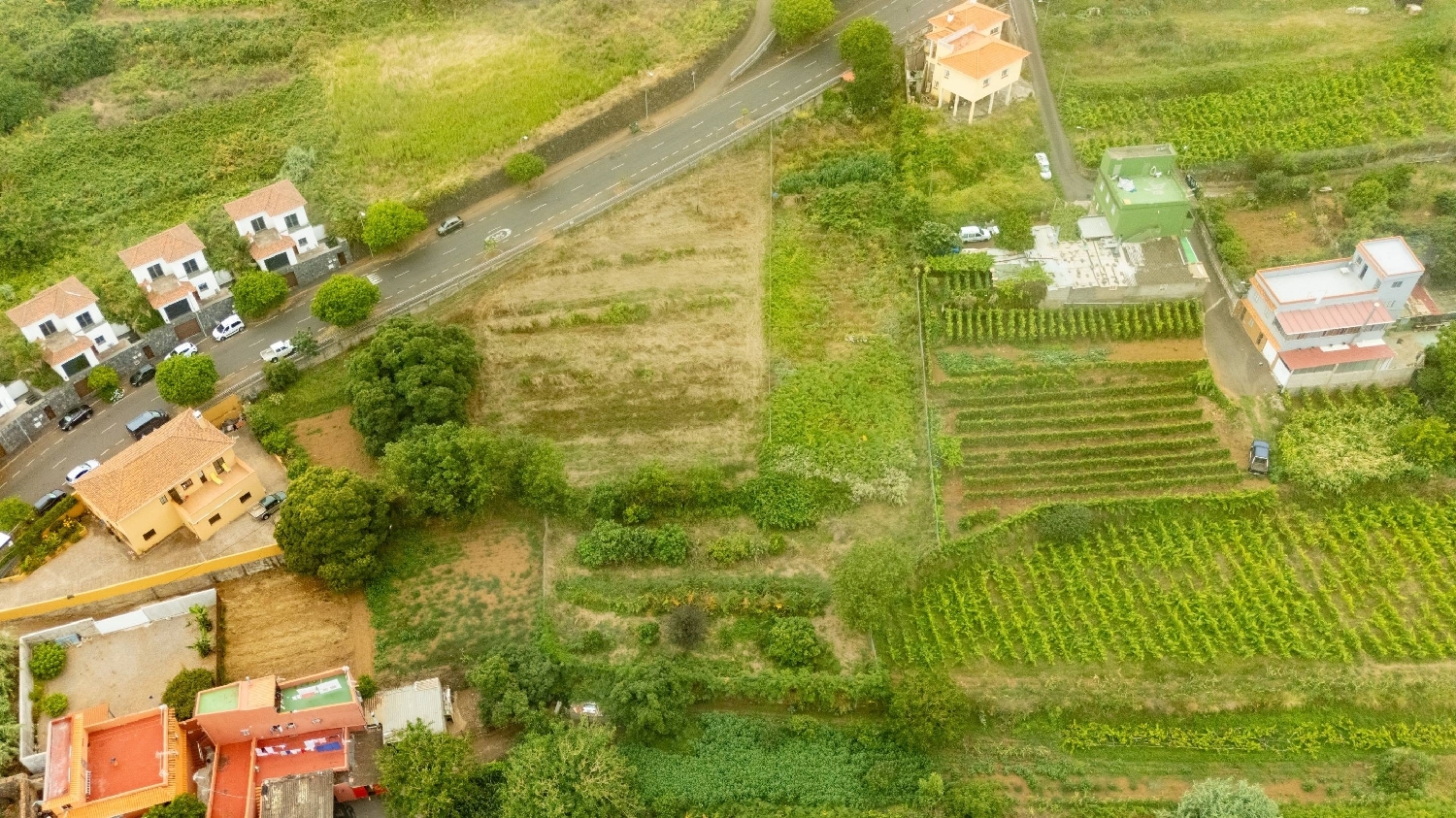  for sale plot El Sauzal Zona Norte 2