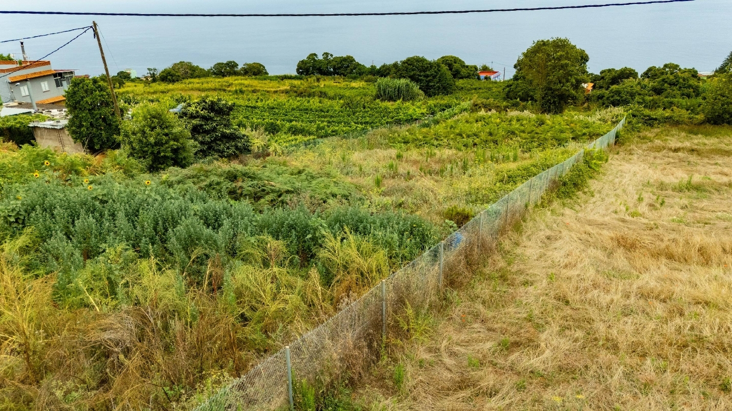  for sale plot El Sauzal Zona Norte 6