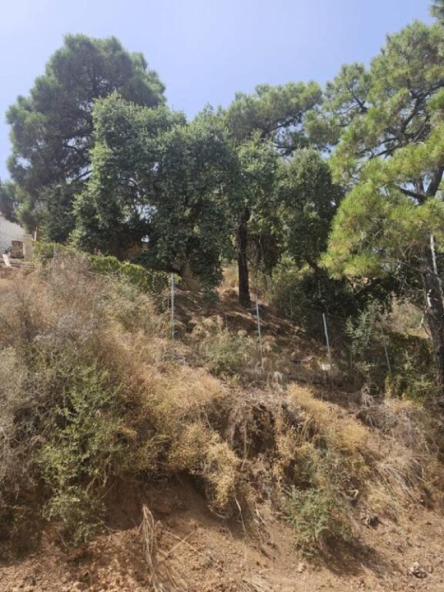  à vendre terrain Estepona Costa Del Sol Occidental 18