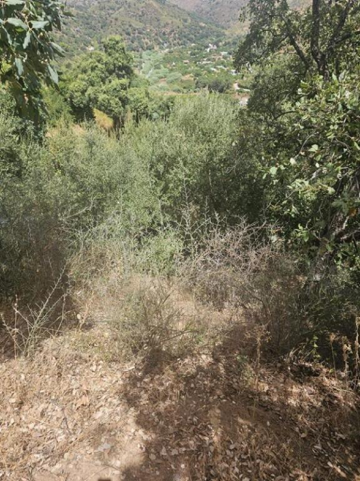  à vendre terrain Estepona Costa Del Sol Occidental 7