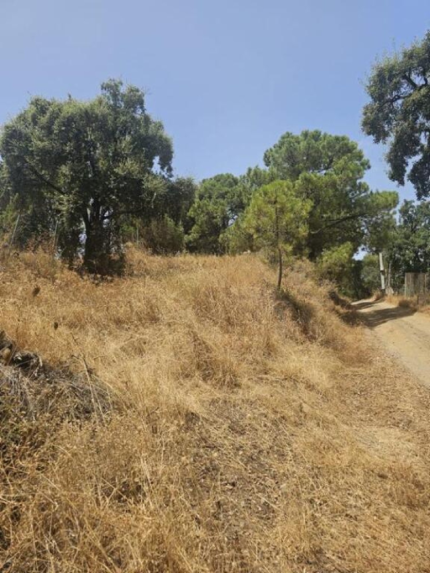  à vendre terrain Estepona Costa Del Sol Occidental 20