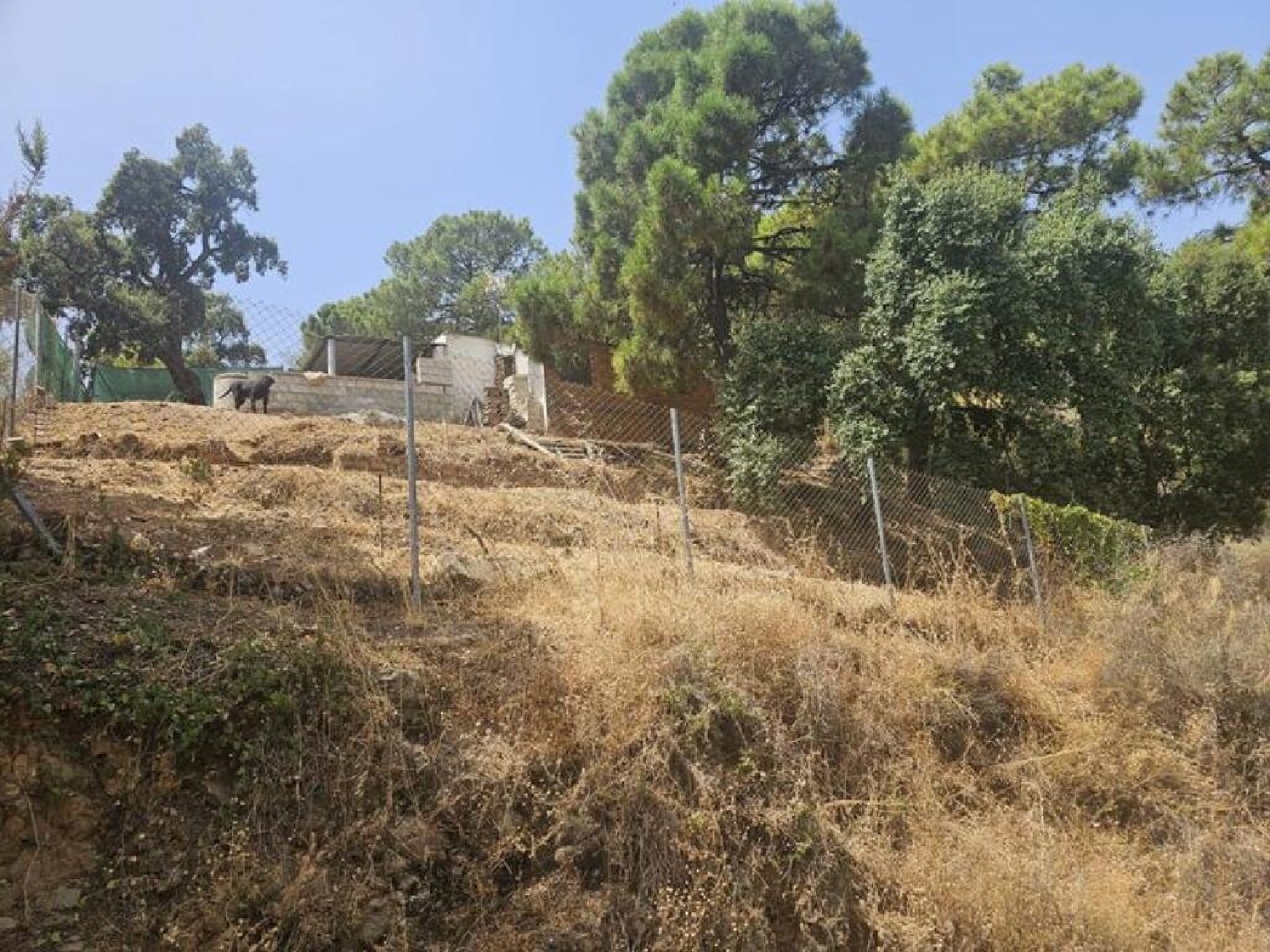  à vendre terrain Estepona Costa Del Sol Occidental 5