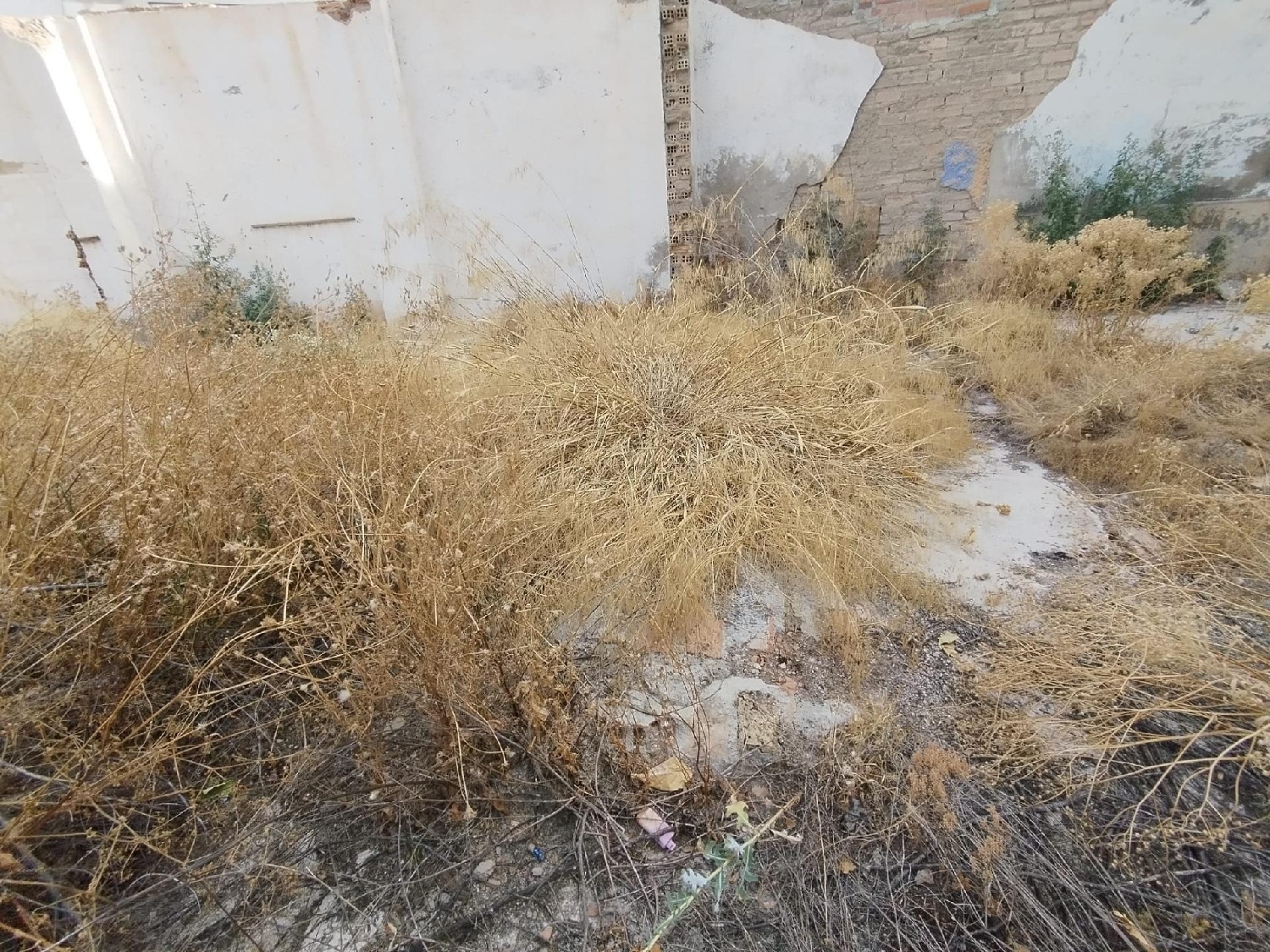  kaufen Grundstück Granada Vega De Granada 8
