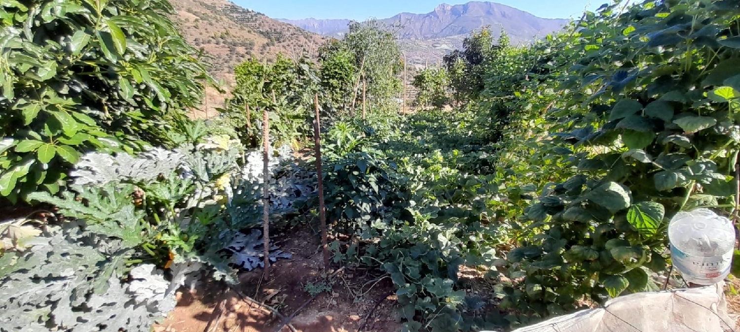 en venta terreno Ítrabo Costa Tropical 3