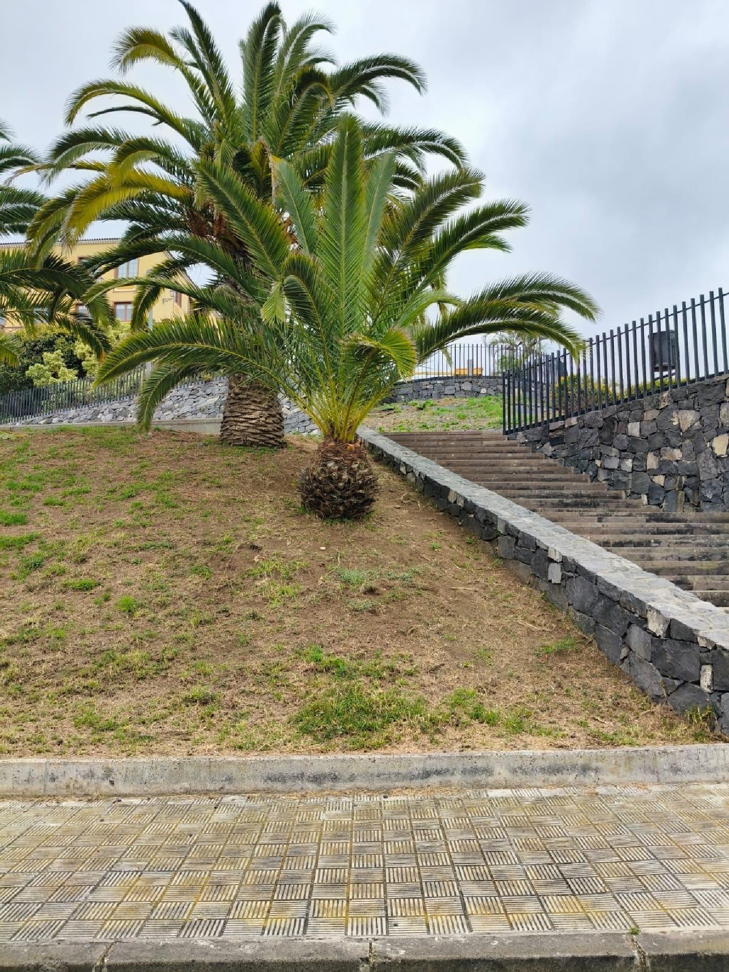  for sale plot La Guancha Zona Norte 3