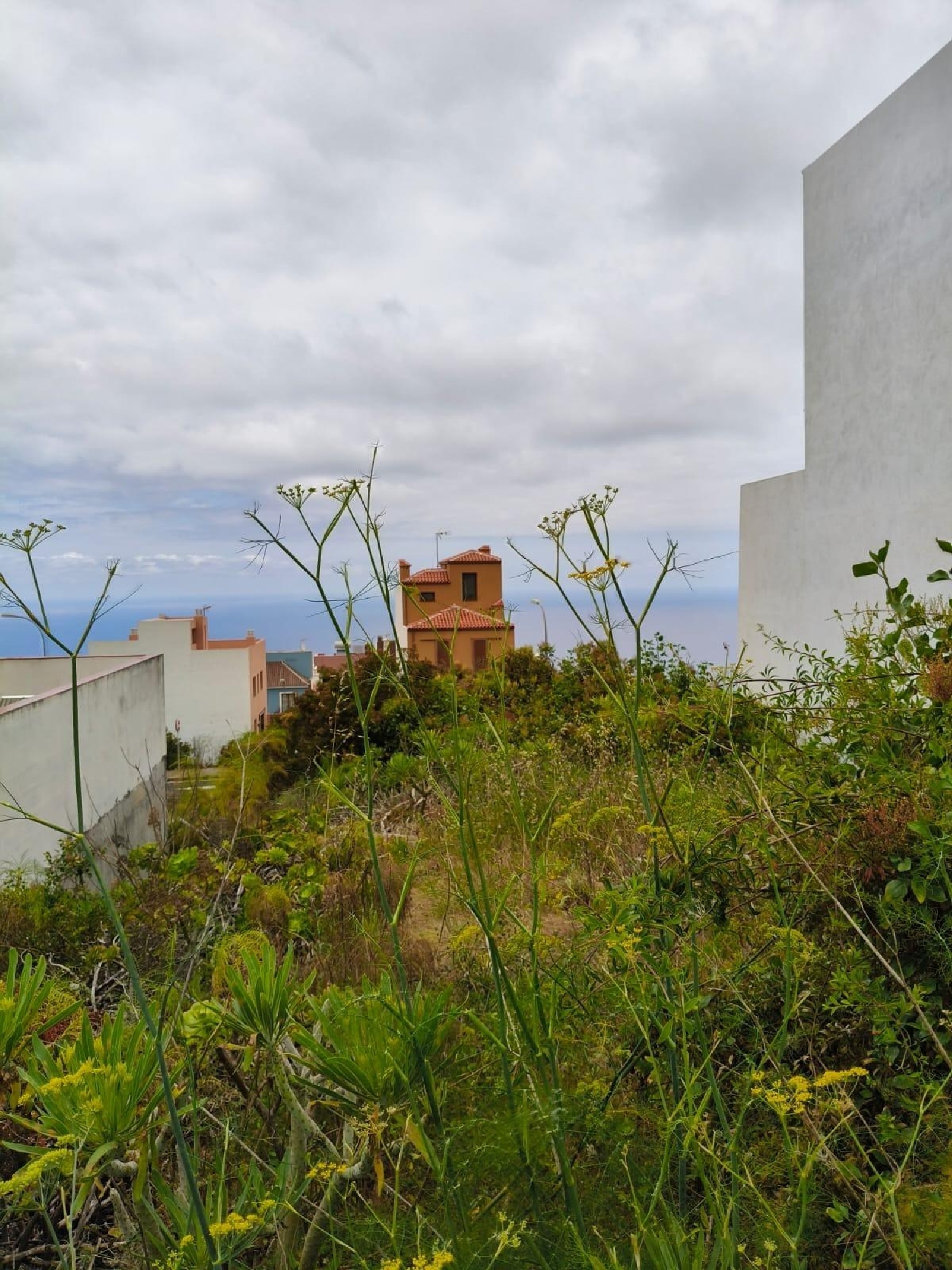  for sale plot La Guancha Zona Norte 8