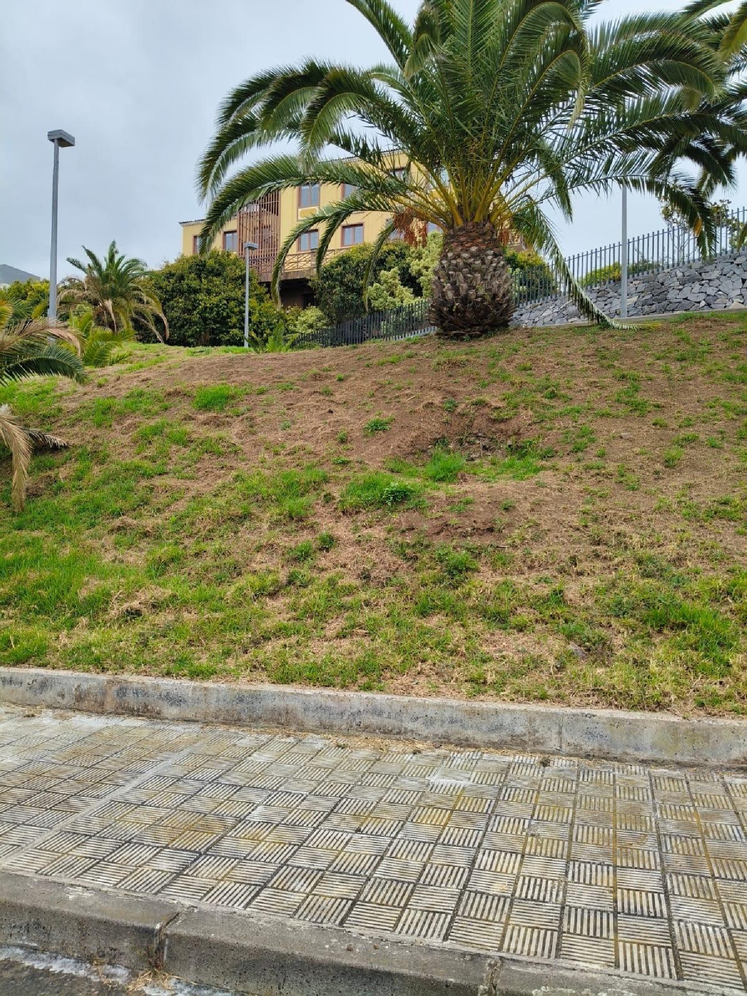  for sale plot La Guancha Zona Norte 1