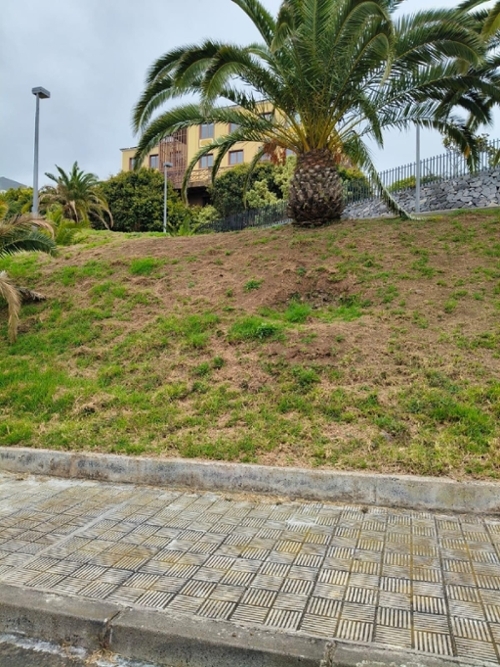 La Guancha Zona Norte terrain foto 6287621