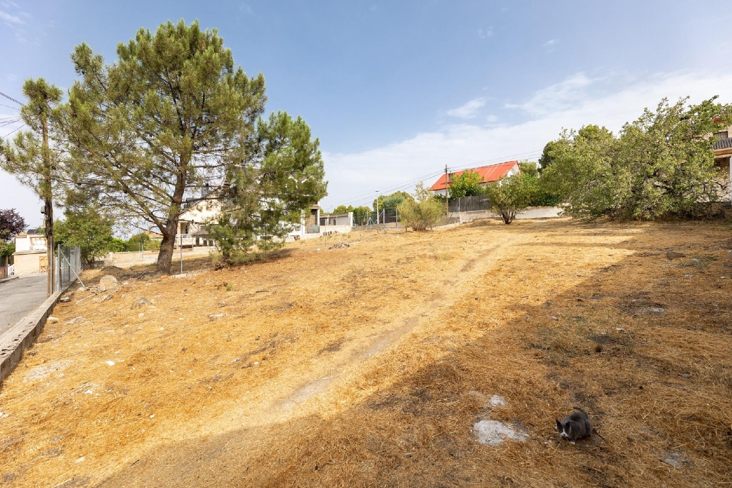  kaufen Grundstück La Zubia Vega De Granada 6