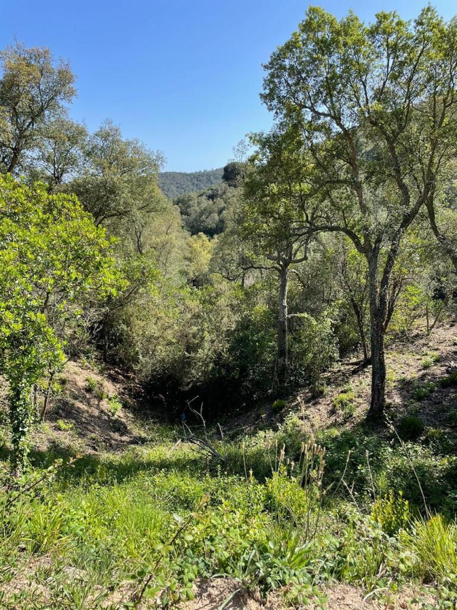 te koop perceel Lloret De Mar Selva 2